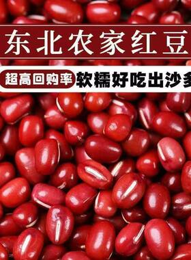 当季新货农家红小豆豆浆原料