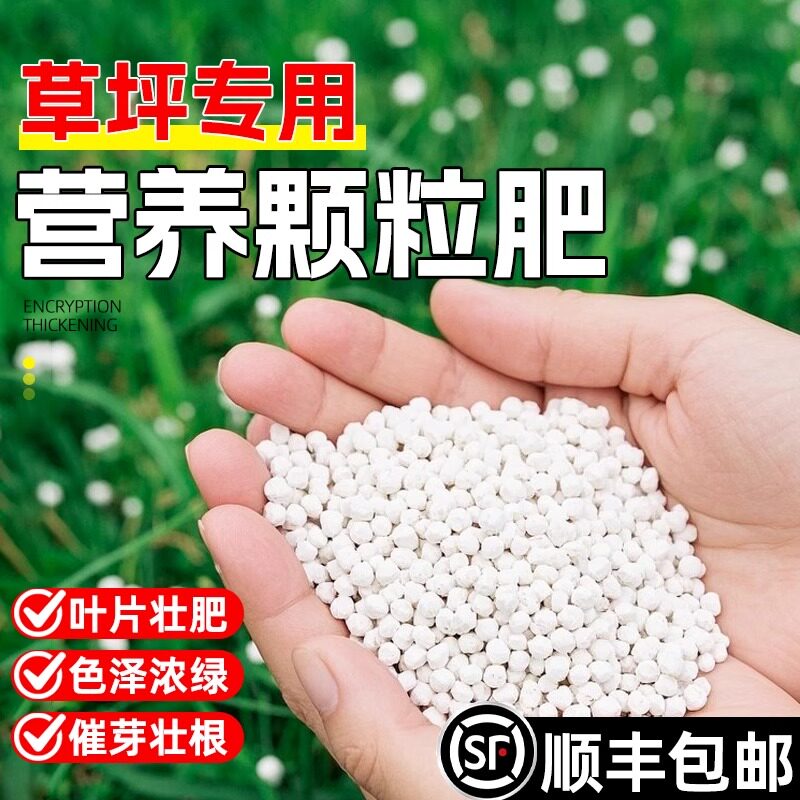 草坪草籽专用营养颗粒复合肥农用化肥料花肥绿植盆栽氮磷钾通用型