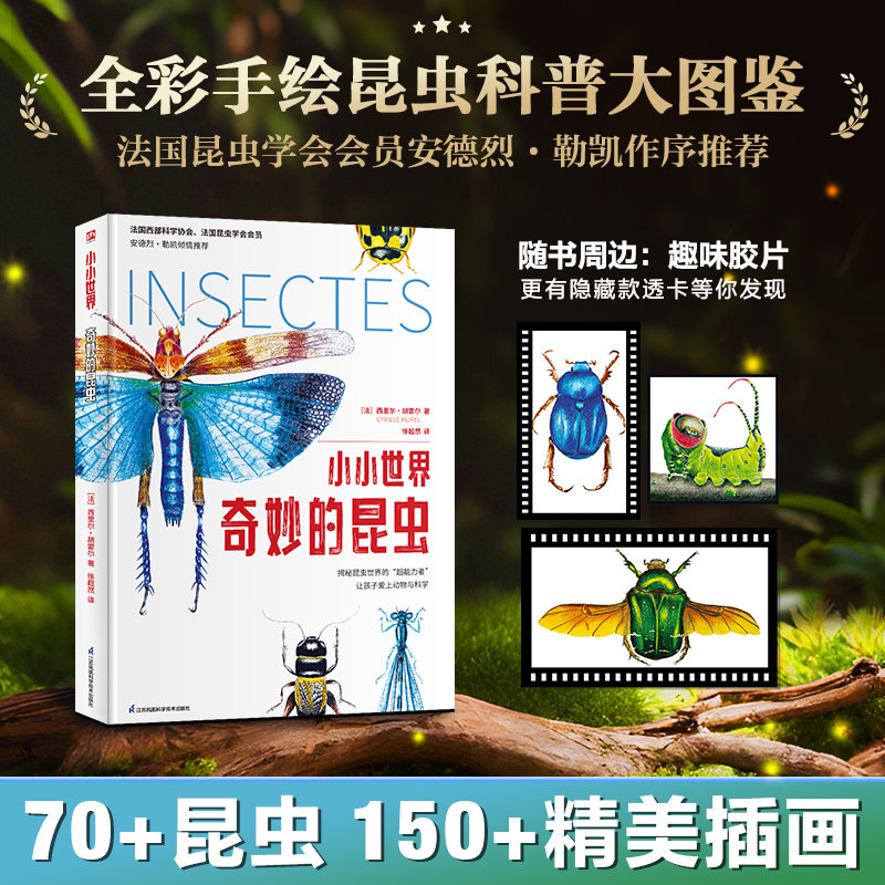 小小世界奇妙的昆虫法国西部科学