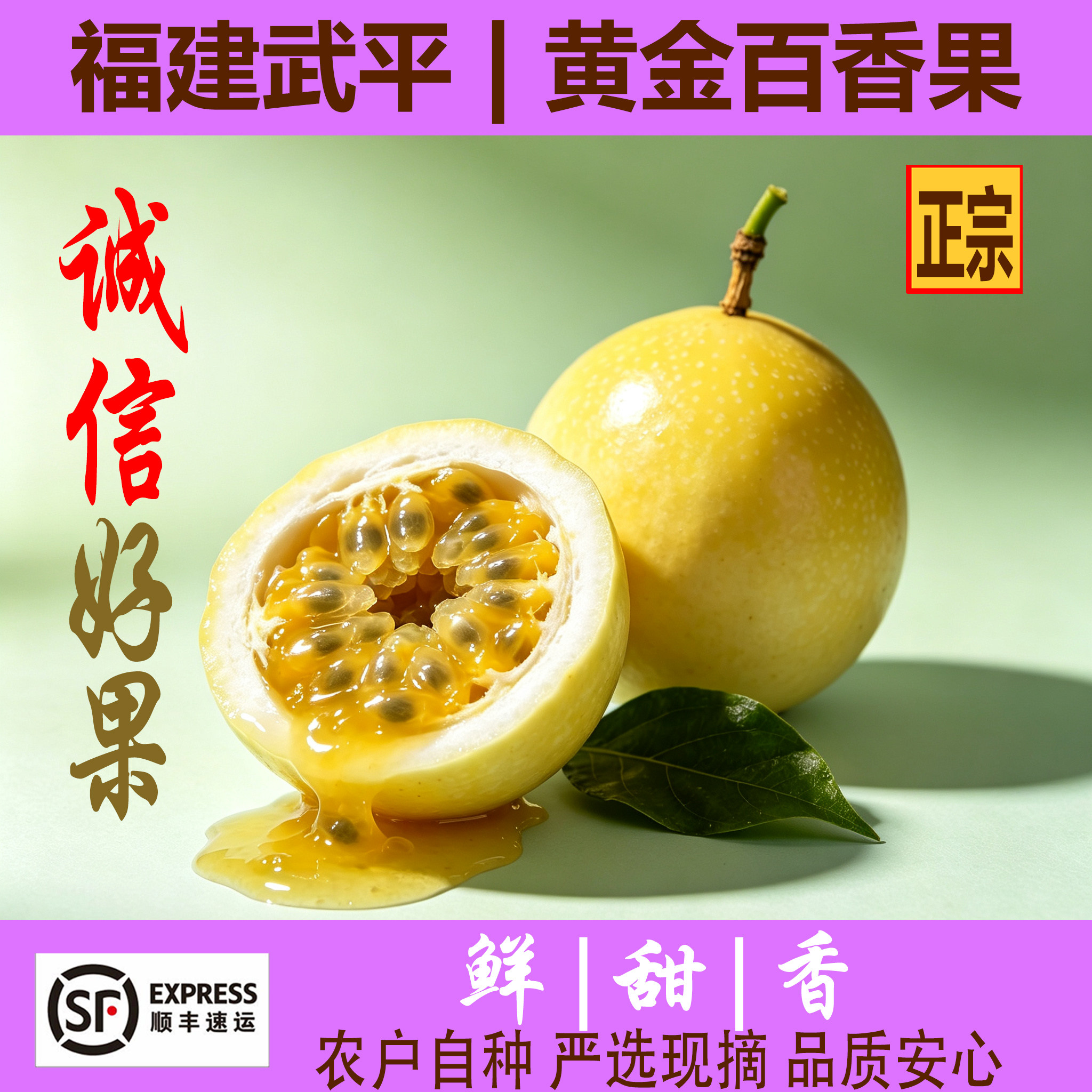 福建武平钦蜜9号黄金百香果生态