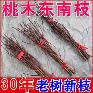 桃树枝婴儿出院宝宝新生的儿新鲜桃枝镇宅挂件床头压惊野生老桃木