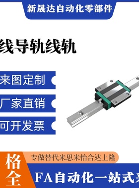 中载直线导轨C-SVR C-SVRL C-SV2R C-SV2RL24 28 33 42-100 160