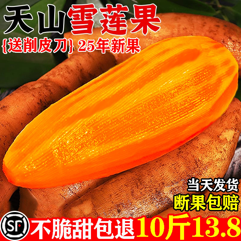 [顺丰包邮]天山雪莲果10斤13.8