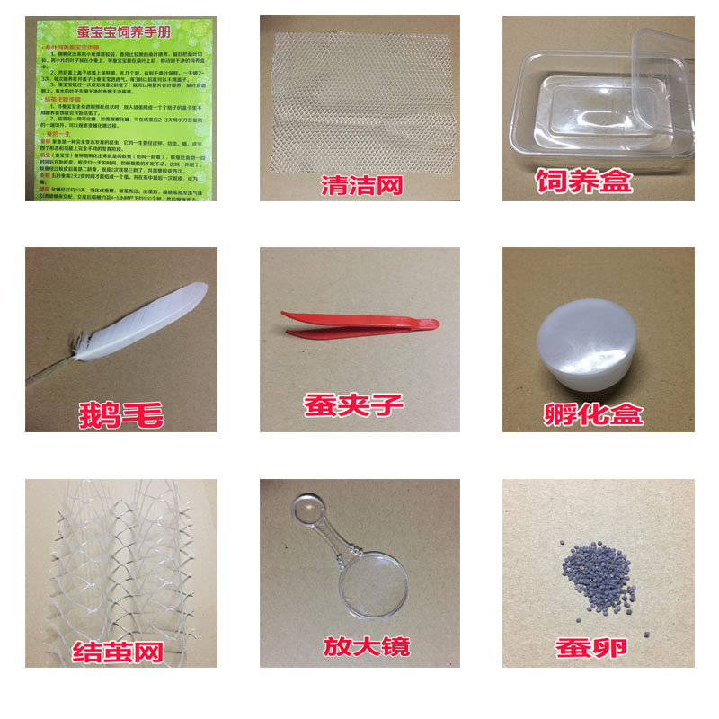 蚕宝宝养蚕工具套含结茧网饲养盒箱清洁网蚕夹饲养手册放大镜鹅毛