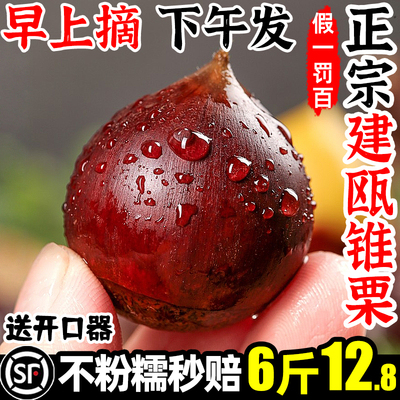 【顺丰】正宗建瓯锥栗6斤12.8