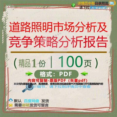 道路照明市场分析及竞争策略分析报告100分析报告分析资料市页