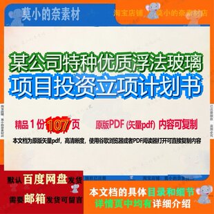 某公司特种优质浮法玻璃项目投资立项计划书107页 项目计划书公