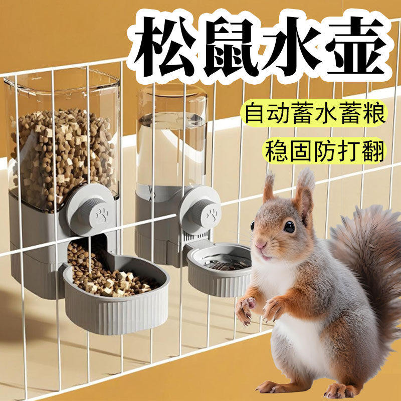 松鼠水壶专用喝水饮水自动喂食器壁挂大容量生活水盆固定宠物用品