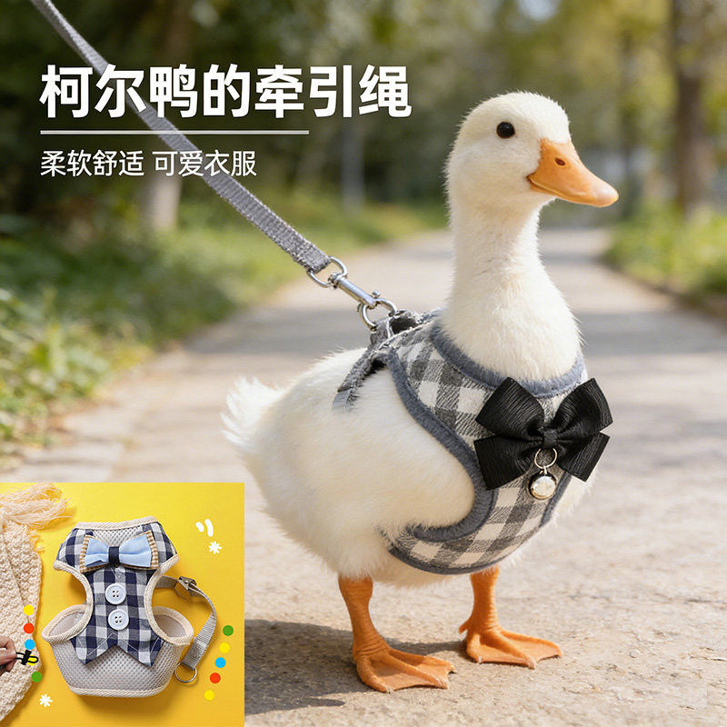 柯尔鸭专用衣服带牵引绳外出遛宠物小鸭子鹅公母鸡穿的牵引绳用品