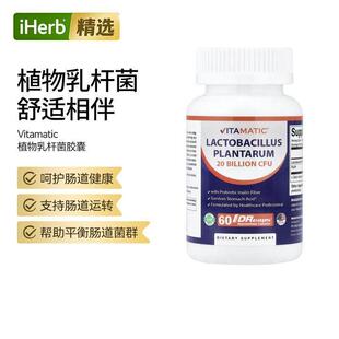 Vitamatic植物乳杆菌促进肠胃舒适与活力提升内在防御力益生菌胶