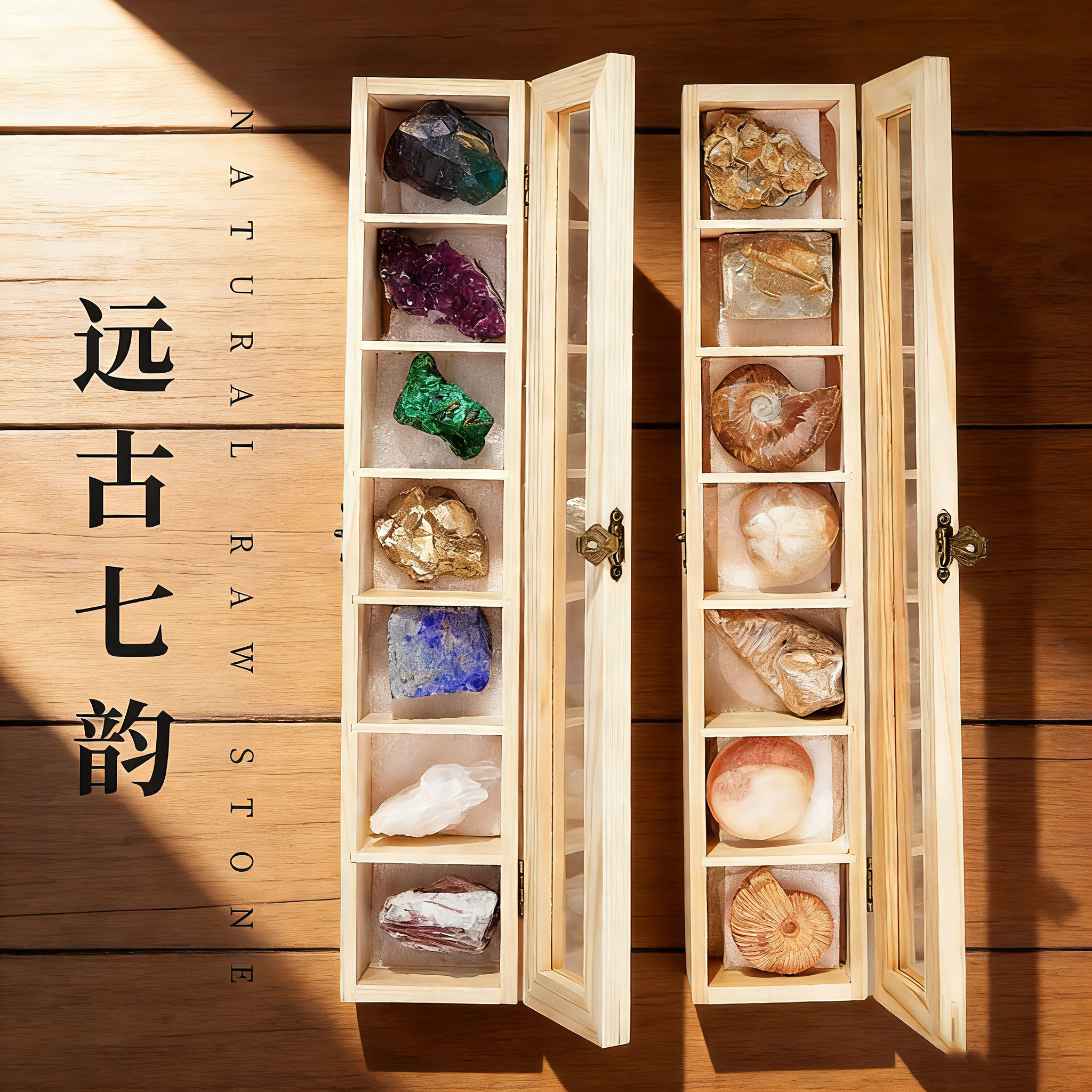 天然水晶矿石标本孔雀石矿物原石古生物菊石海螺昆虫化石标本套装