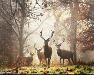 Beibehang Customized large mural wallpaper retro nostalgic