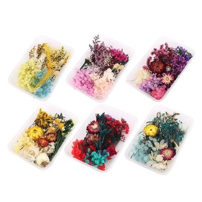 1 Box Real Dried Flower Resin Mold Fillings UV Expoxy