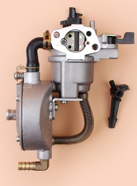 Dual Fuel Carburetor For HONDA GX160 GX200 GX 160 200 Chines