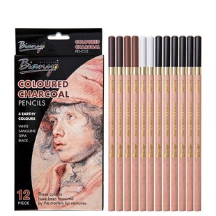 12 Pcs/Box Artist Soft Pastel Pencils Crayon Charcoal Pencil