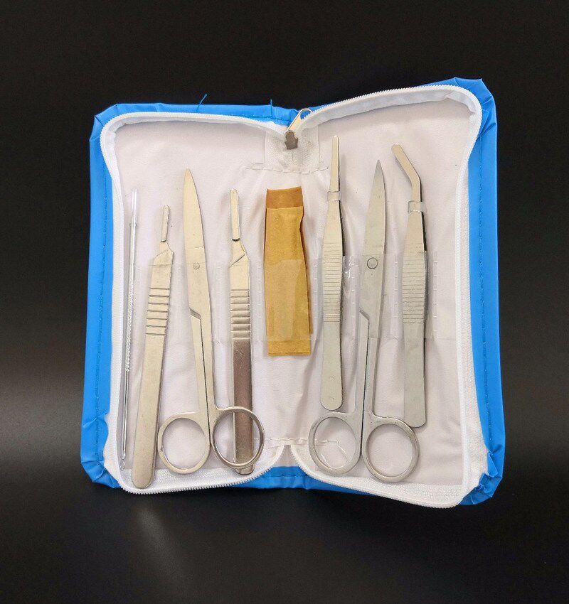 7pcs/Set Dissecting Animal Dissection Kit Taxidermy Set Bio