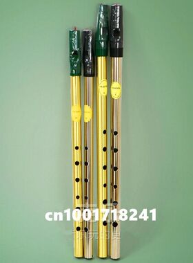 Irish Whistle Flute Feadog C D Key Tin Whistle 6 Hole Clarin