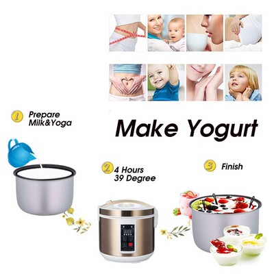 6L 220V Automatic Black Garlic Fermenter Yogurt Maker Intell