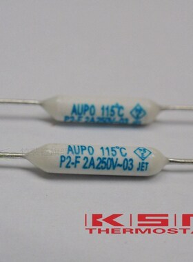 100pcs P1-2A-F 102 2A 250V degree Thermal Cutoff RF102 Therm