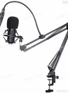 Professional Studio Recording Live Karaoke PC Sing Micropho