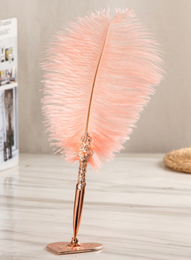 English Calligraphy Feather Dip Pen Set Vintage Retro Writin