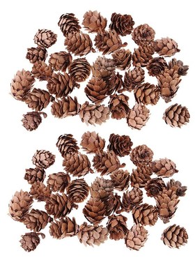 60 Pieces Mini Decorative Pinecone Pine Cones Pinecone For C