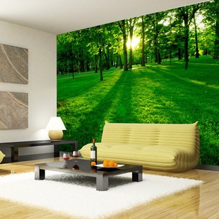 Trees Wood wallpaper est Photo Wallpaper Landscape Nature