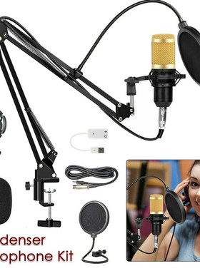 microfone Studio Christmas gift Professional microfone bm80