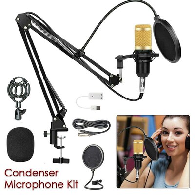 microfone Studio Christmas gift Professional microfone bm80