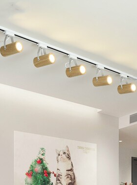 Nordic track light spotlight LED ladies  s consumer and comm