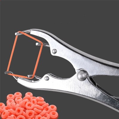 Tail Removal Pigs And Sheep Castration Pliers And Particulat