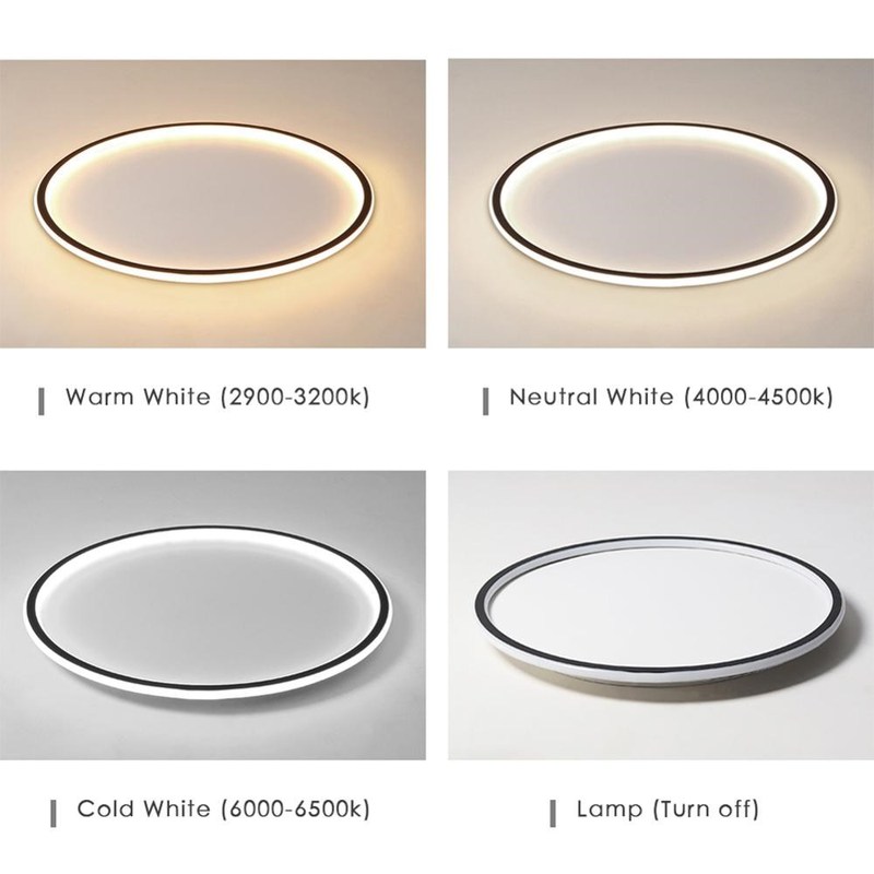 Modern Ceiling Light LED Minimalist Dimmable Lamp Home Decor