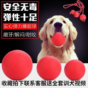 Dog bite training Solid ball Rubber elastic ball Horse Dog G