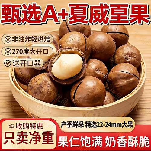 大颗粒夏威夷果进口袋装送开口器