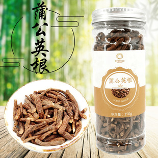 蒲公英根 新茶东北长白山正品干货150g炒蒲公英根茶婆婆丁根茶