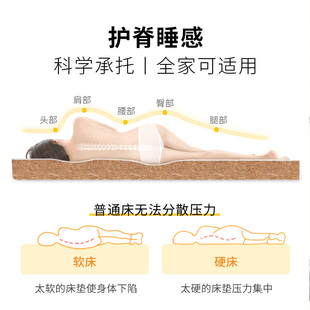 天然椰棕乳胶床垫家用硬垫椎全拆洗折叠儿童大学生宿舍榻榻米定制