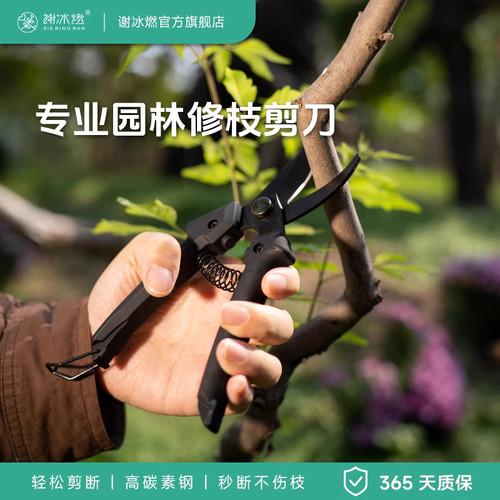 修枝剪刀果树园林树枝剪采摘专用
