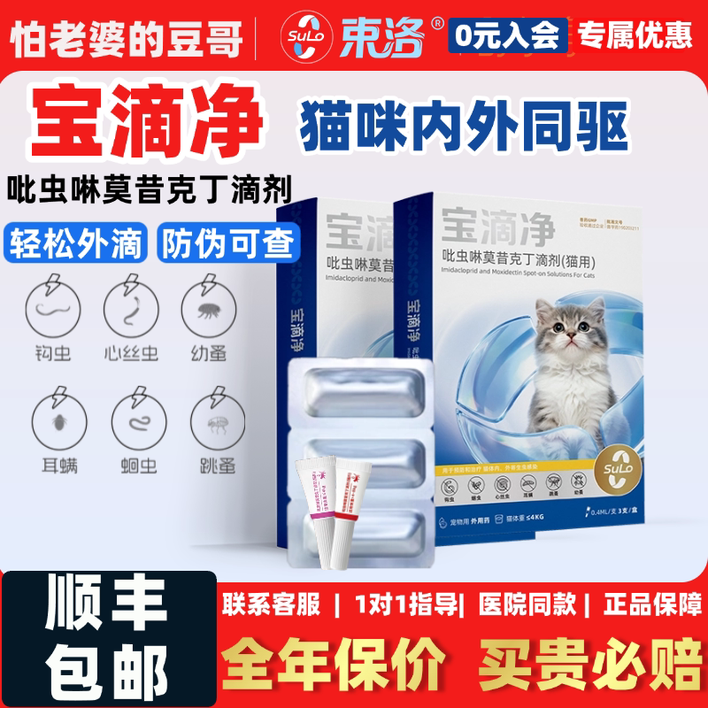怕老婆的豆哥束洛宝乐喵宝滴净图片