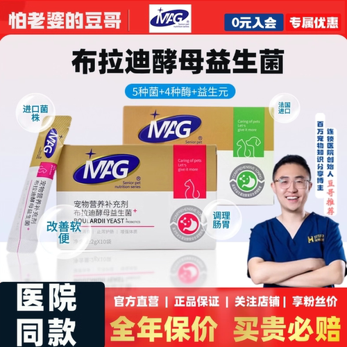 怕老婆的豆哥猫咪益生菌调理肠胃