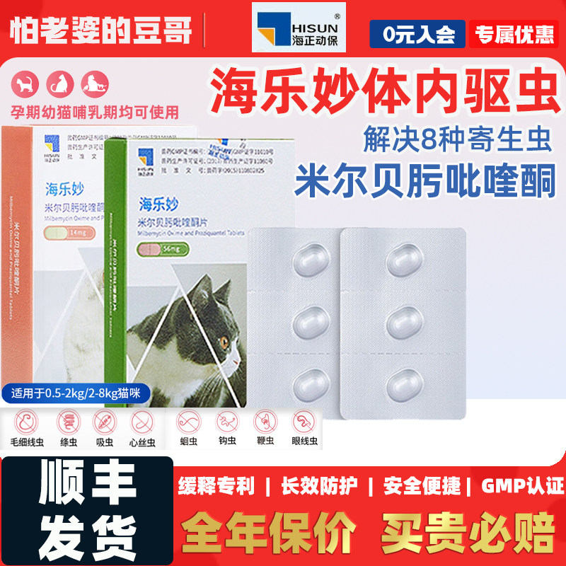 怕老婆的豆哥海乐妙莫普欣去耳螨图片