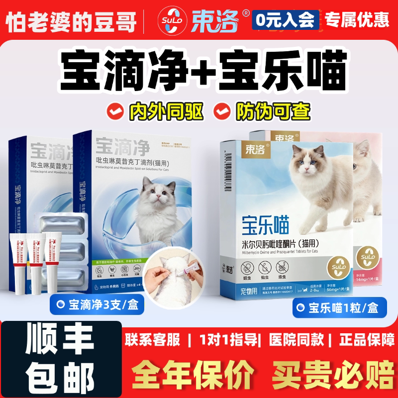 怕老婆的豆哥束洛宝滴净内外同驱