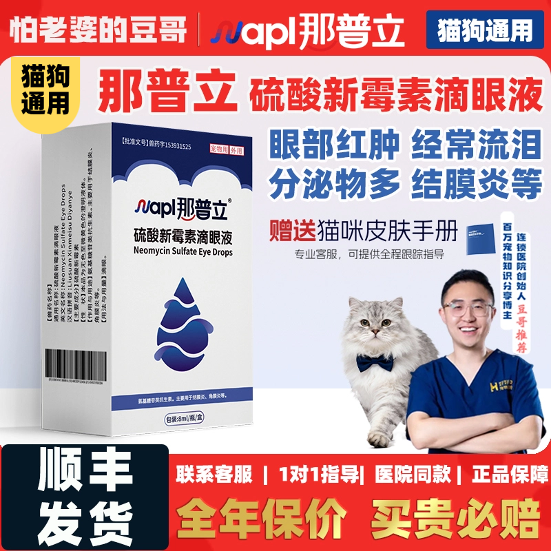 怕老婆的豆哥那普立硫酸新霉素滴眼液猫咪狗药水部清洁宠物滴眼液