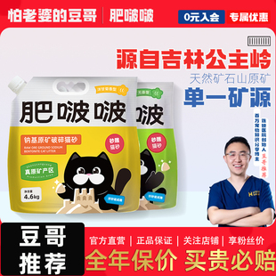 怕老婆 豆哥肥啵啵猫砂天然钠基矿吉林公主岭砂破碎4.6kg原矿