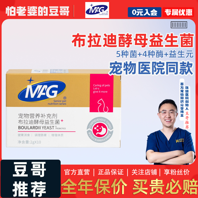 怕老婆的豆哥猫咪益生菌调理肠胃