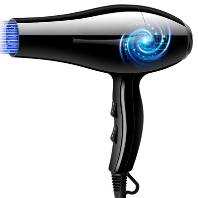220 V Electric Hair Dryer Household Does Not Hurt Anion Hair