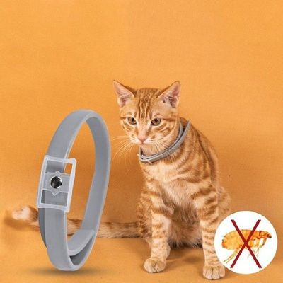 Repellent Collar For Cat Adjustable Pet Insect Natural Essen