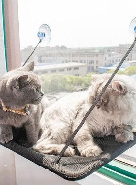 Cat Suction Cup Hanging Bed Cat Sofa Cat Bed Cat Basking In