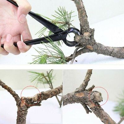Branch Cutter Professional Bonsai Tools Heavy Duty Concave