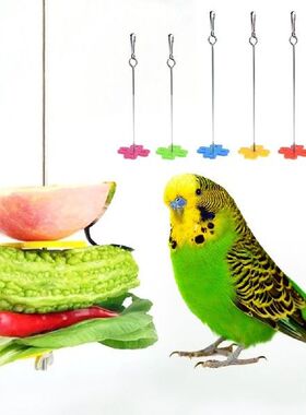 Parrot Fruit Fork Hang Cage Bird Food Holder Stainless
