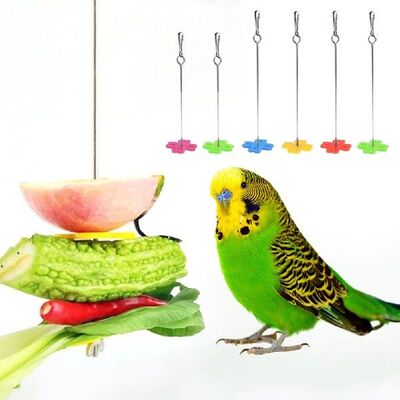 Parrot Fruit Fork Hang Cage Bird Food Holder Stainless